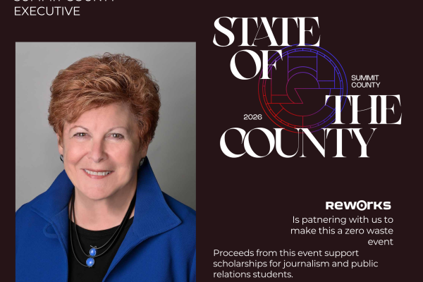 EXECUTIVE ILENE SHAPIRO