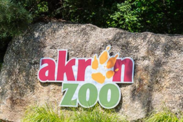 Large rock with an Akron Zoo logo 